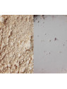 Ivory concealer Ivory concealer