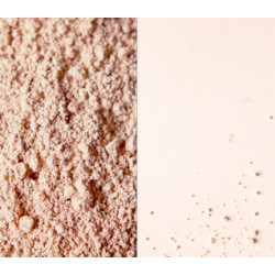 Biscuit foundation sample