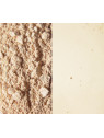 Sunrise foundation sample Sunrise foundation sample